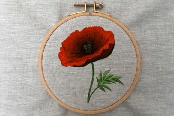 Poppy Bloom Embroidery Pattern Review